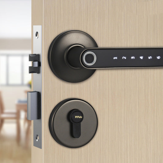 Smart Door Handle Lock Fingerprint Password Digital